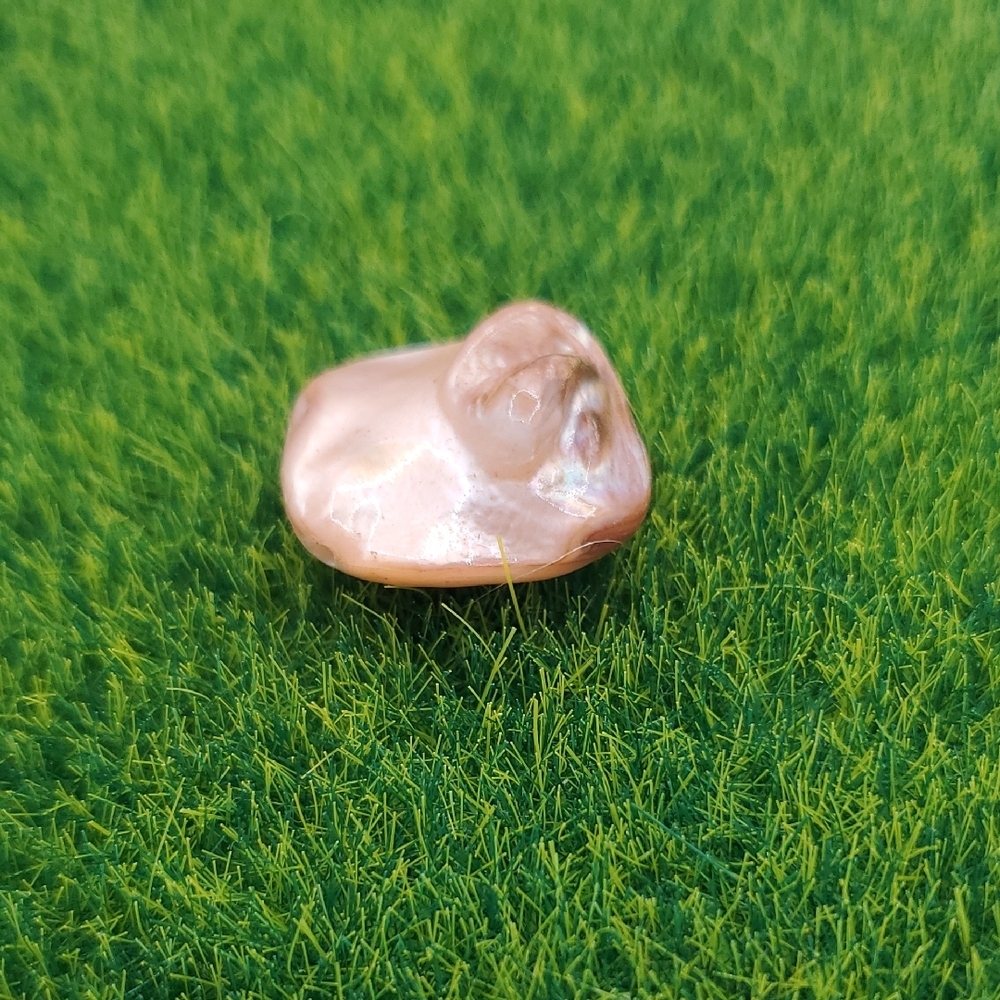 Camel‎ Mother Of Pearl Bead P319